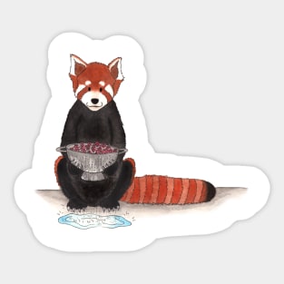 R is for Red Panda Sticker